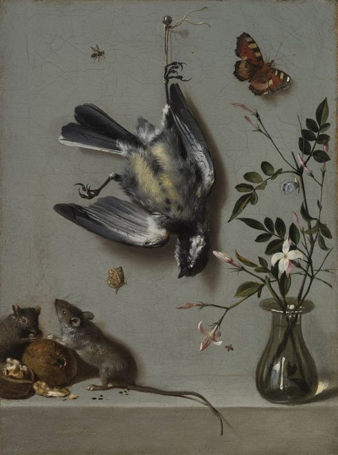 Jean-Batpiste Oudry - Nature morte à la mésange, aux souris, aux noix, aux insectes et au vase de jasmins, vers 1712-1713